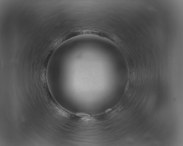 X0000051860477200506241326