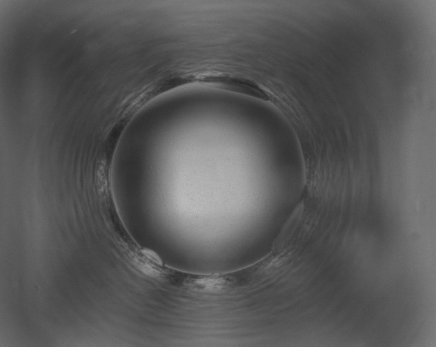 X0000051860478200506241326