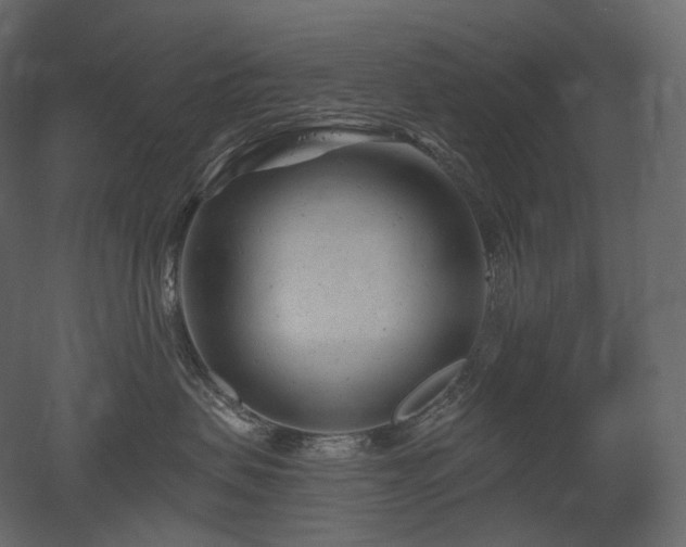 X0000051860479200506241326