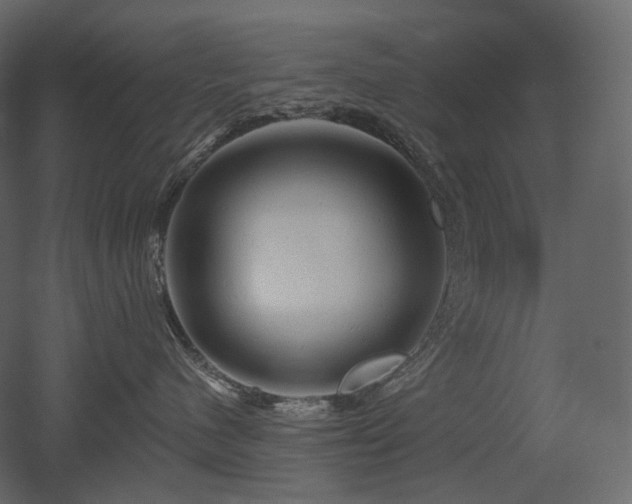 X0000051860480200506241326