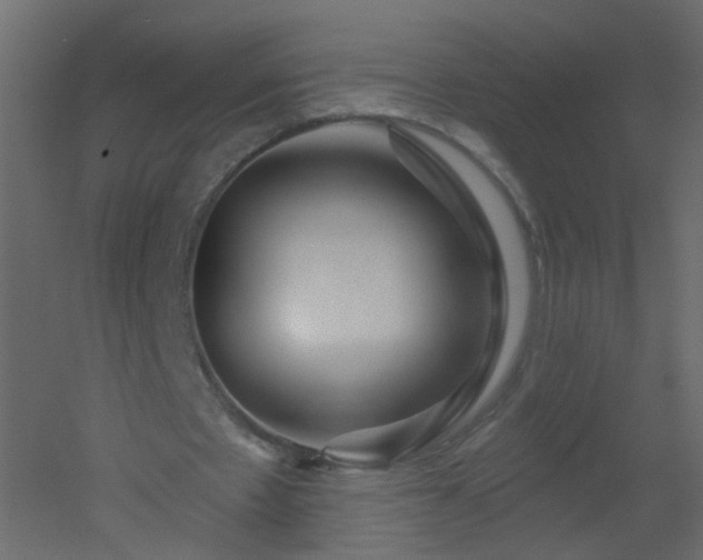 X0000051860481200506241325