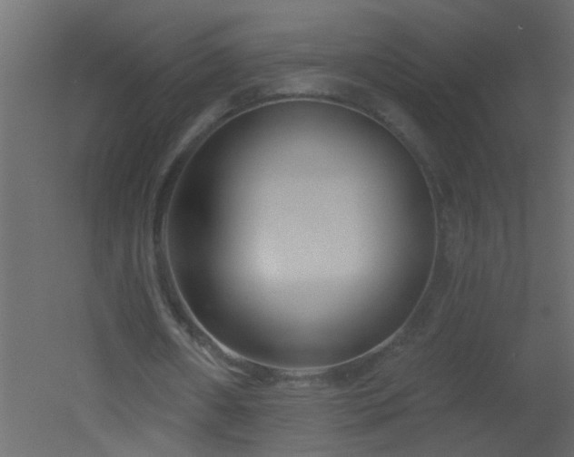 X0000051860482200506241325