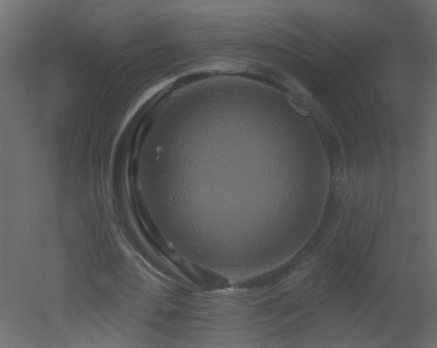 X0000051860484200506241325