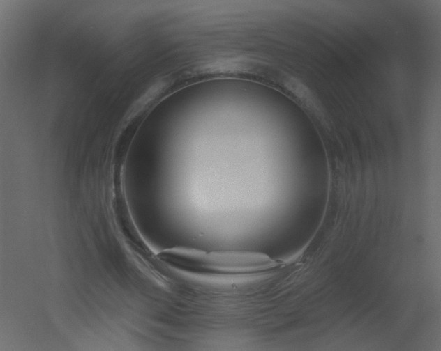 X0000051860486200506241325