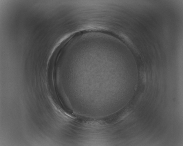 X0000051860488200506241325