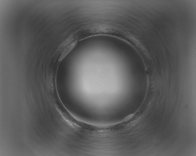 X0000051860489200506241325