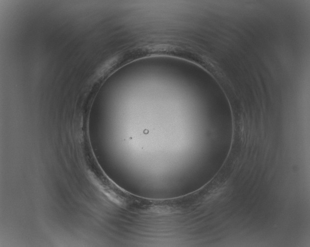 X0000051860490200506241325