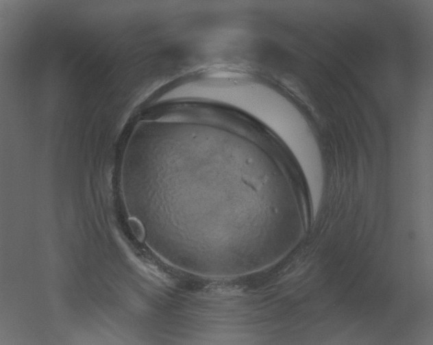 X0000051860491200506241325