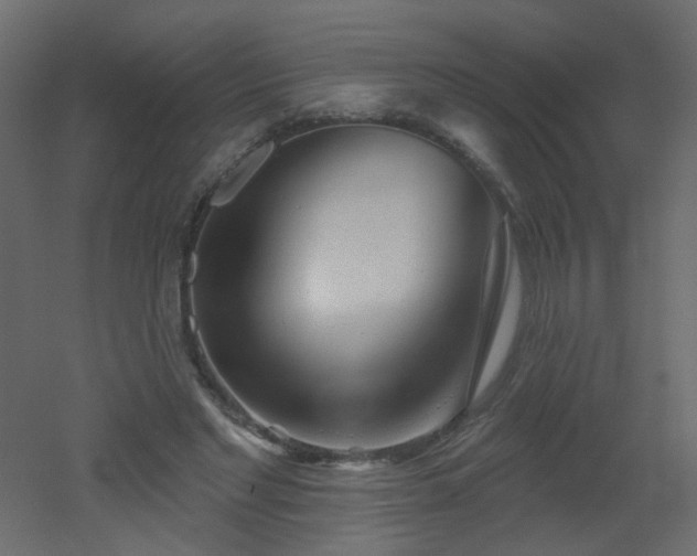 X0000051860493200506241325