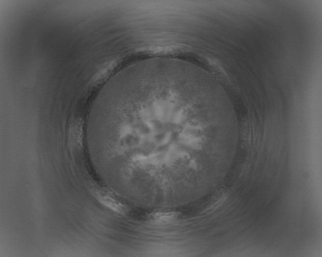 X0000051860495200506241325