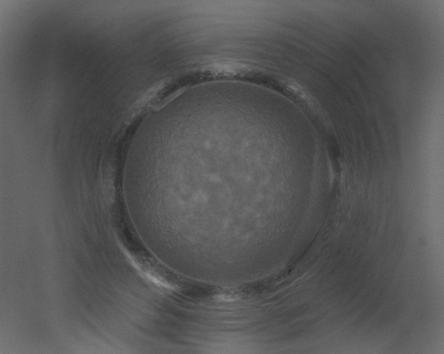 X0000051860496200506241325