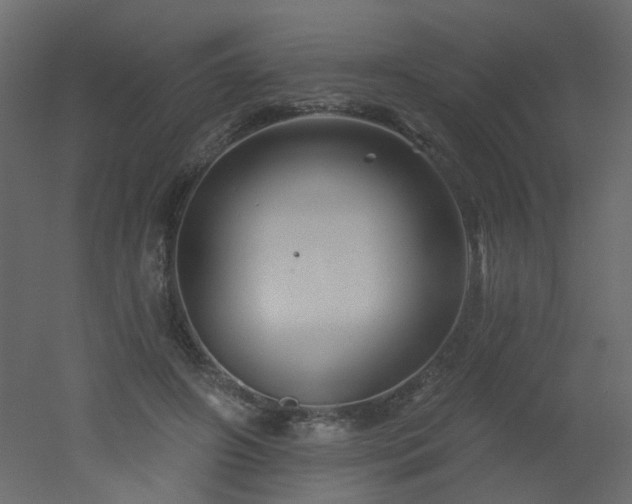 X0000051860498200506241325