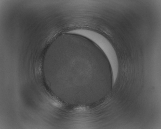 X0000051860499200506241325