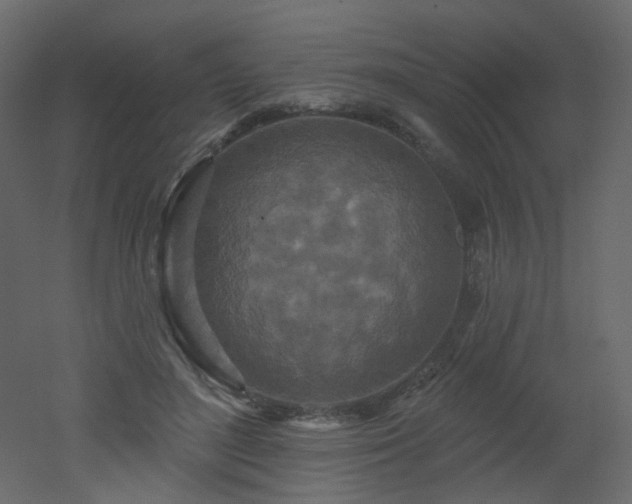 X0000051860500200506241325