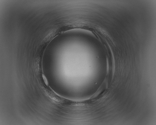 X0000051860501200506241325