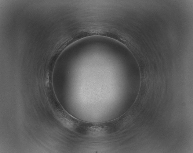 X0000051860502200506241325