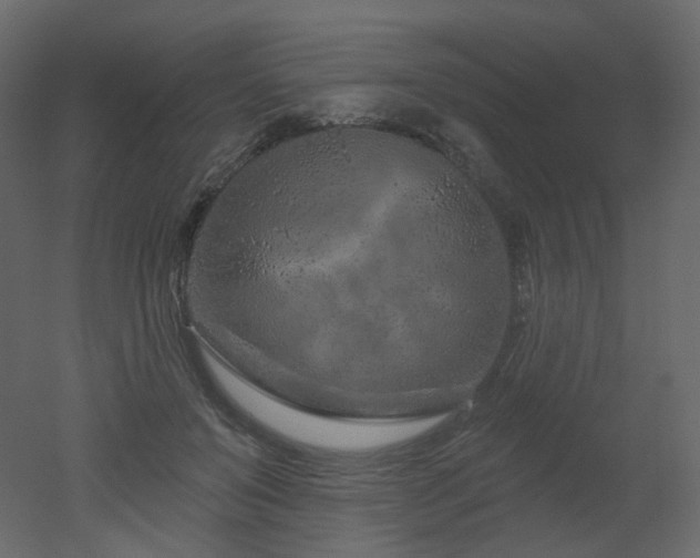 X0000051860503200506241325