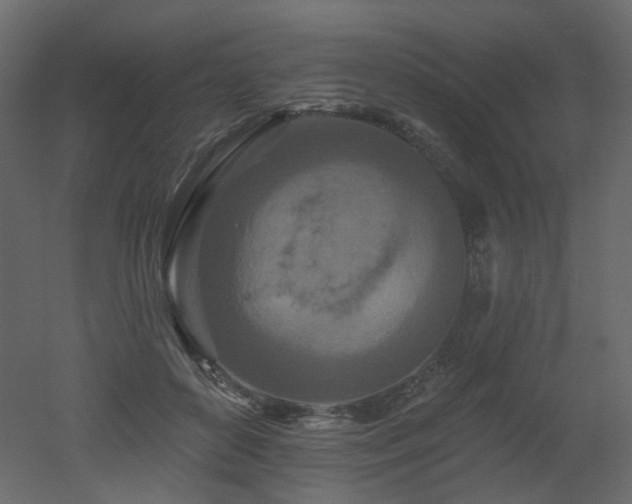 X0000051860504200506241325