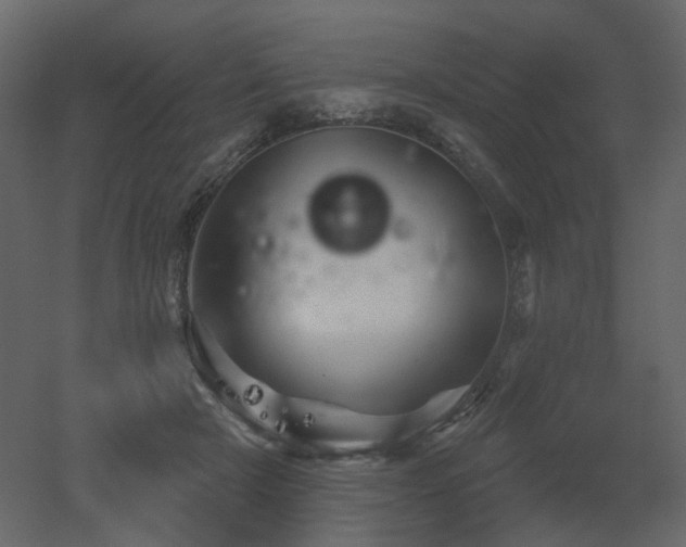 X0000051860505200506241325