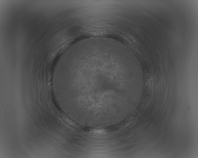 X0000051860507200506241324