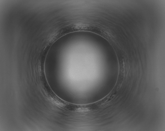 X0000051860508200506241324