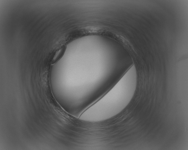 X0000051860509200506241324