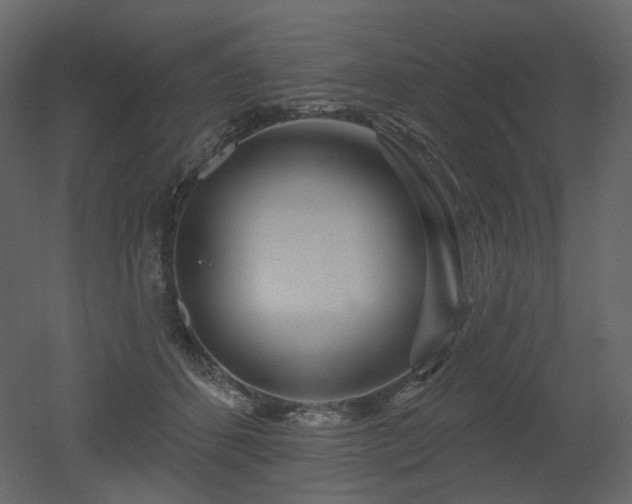 X0000051860512200506241324