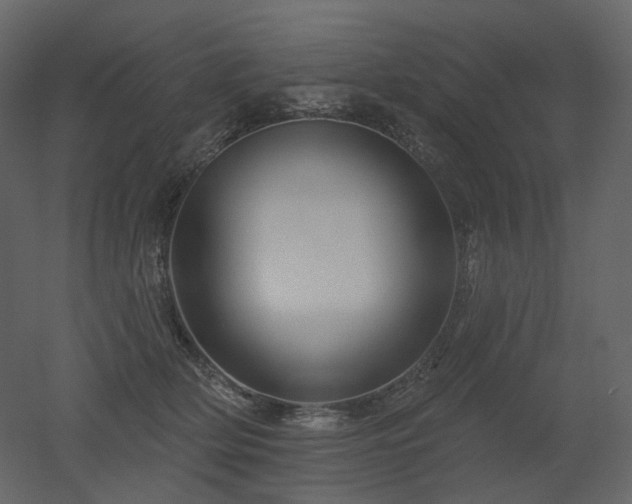 X0000051860514200506241324