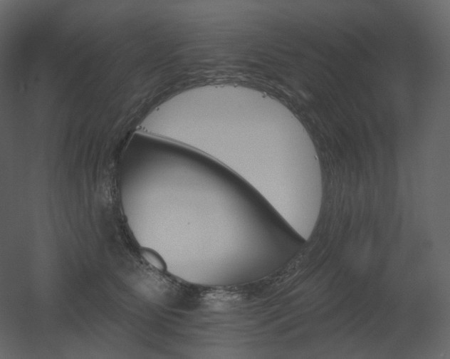 X0000051860515200506241324