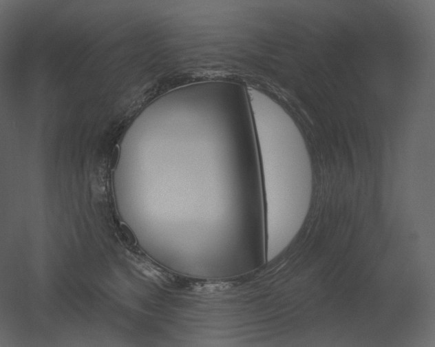 X0000051860517200506241324