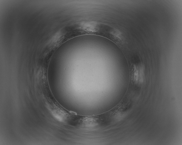 X0000051860518200506241324