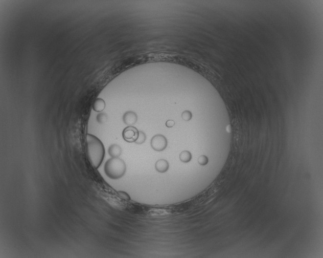 X0000051860519200506241324