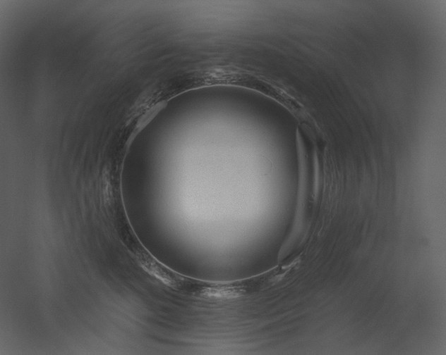 X0000051860520200506241324