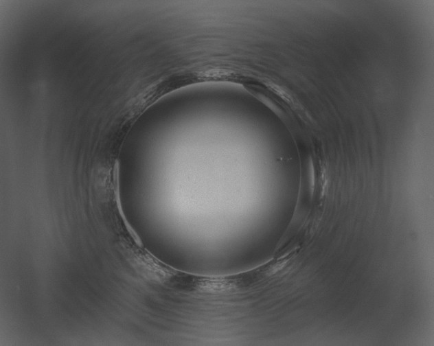 X0000051860521200506241324