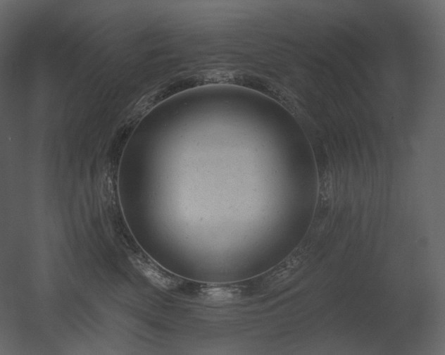 X0000051860522200506241324