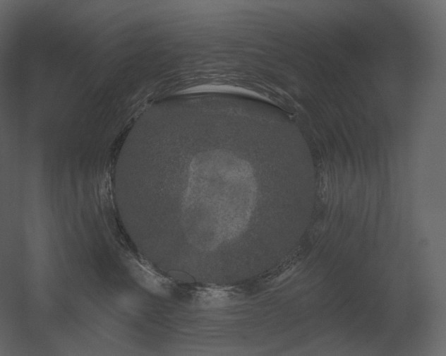 X0000051860523200506241324