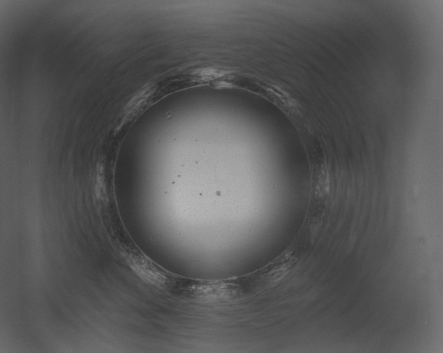 X0000051860524200506241324