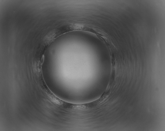 X0000051860525200506241324