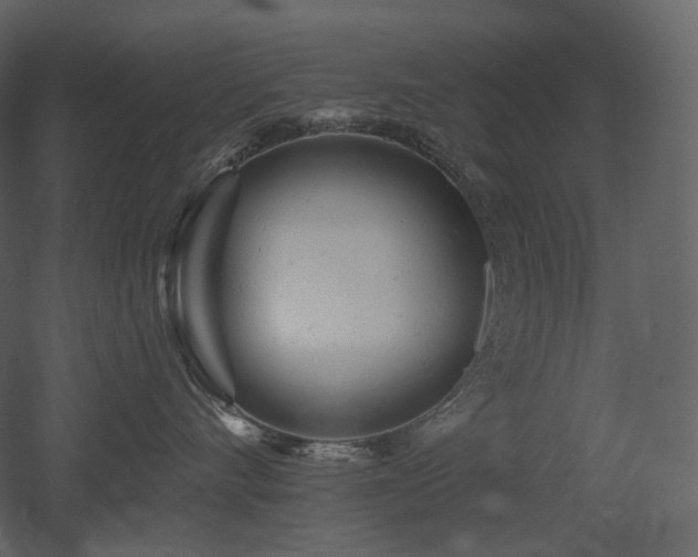 X0000051860528200506241324