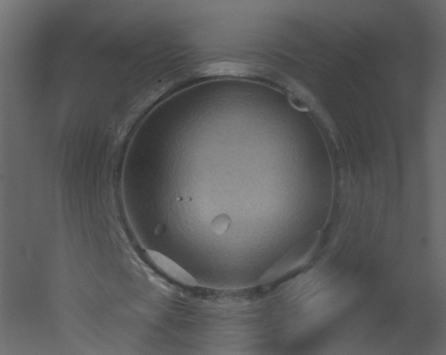 X0000051860529200506241323