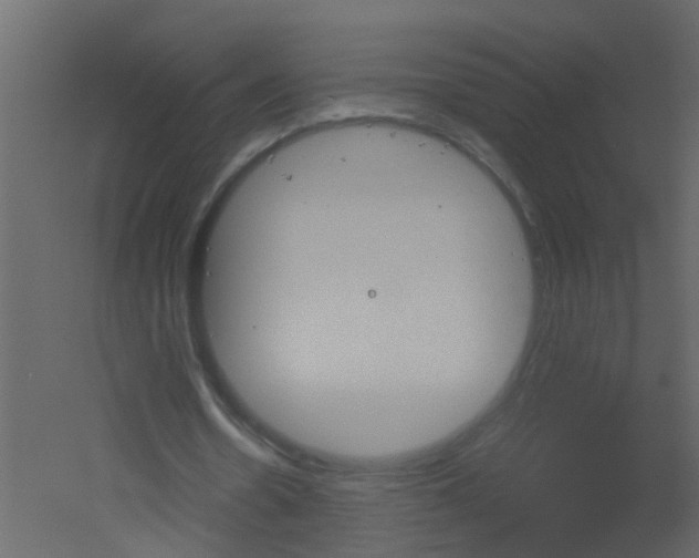 X0000051860530200506241323