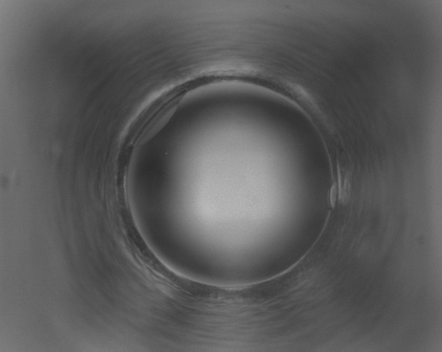 X0000051860531200506241323