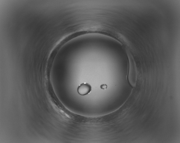 X0000051860532200506241323