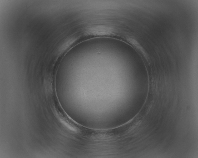 X0000051860533200506241323