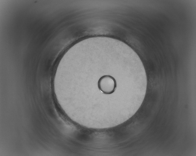 X0000051860534200506241323