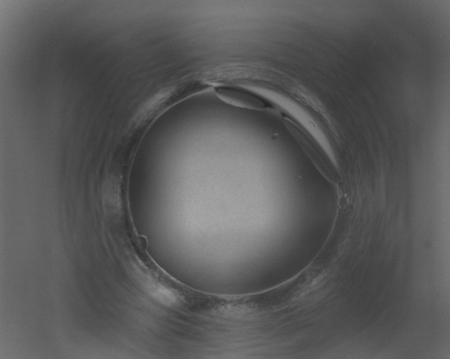 X0000051860537200506241323