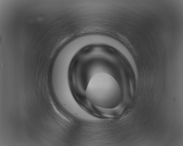 X0000051860538200506241323