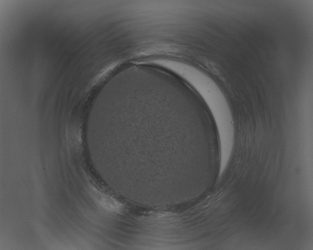 X0000051860539200506241323