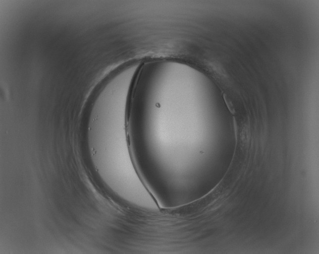 X0000051860540200506241323