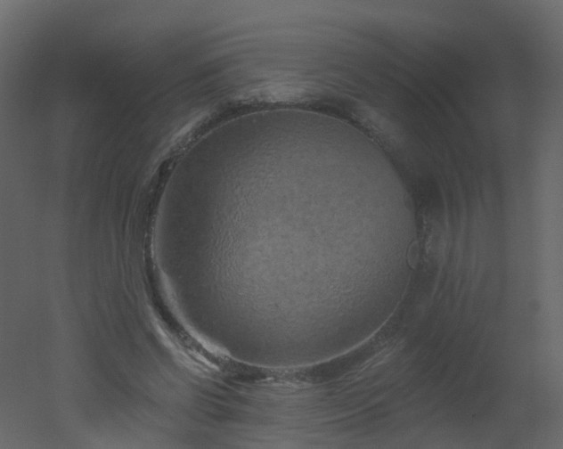 X0000051860542200506241324